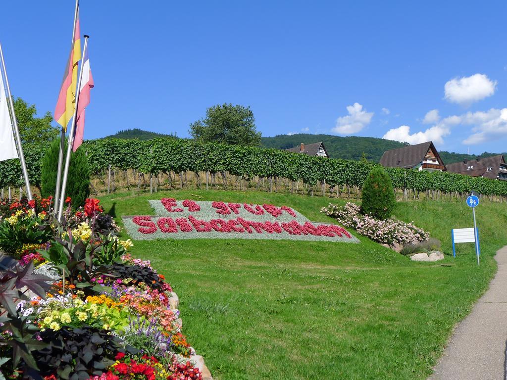 Landhaus Schoenen Sasbachwalden Esterno foto